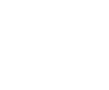 Children's Diabetes Foundation Logo